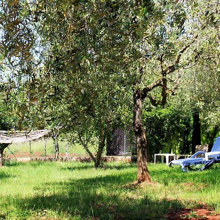 Vila Oliven Garden Rovinj Exteriér fotografie