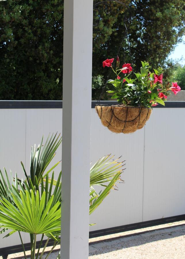 Vila Oliven Garden Rovinj Exteriér fotografie