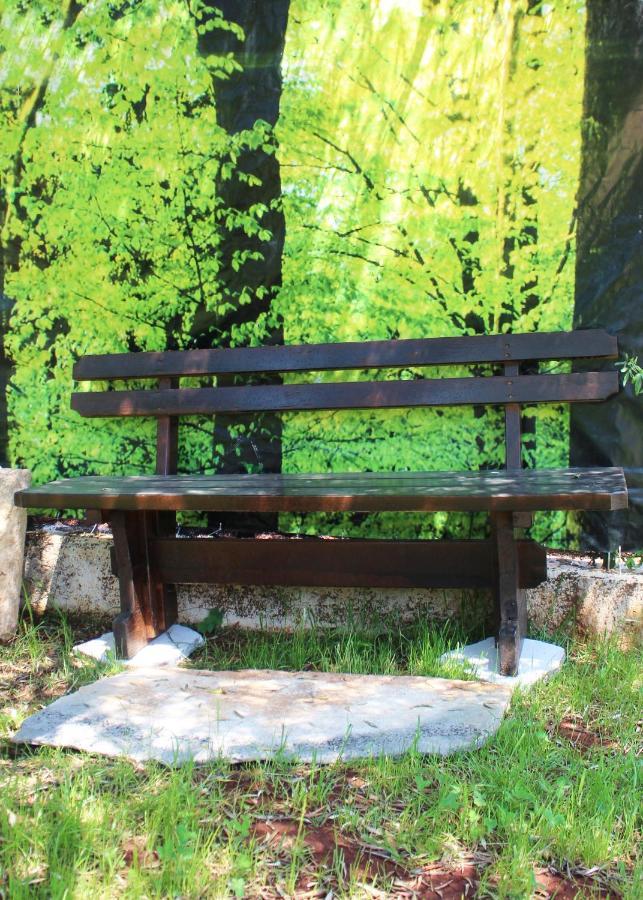 Vila Oliven Garden Rovinj Exteriér fotografie