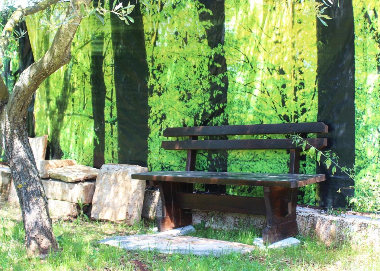 Vila Oliven Garden Rovinj Exteriér fotografie