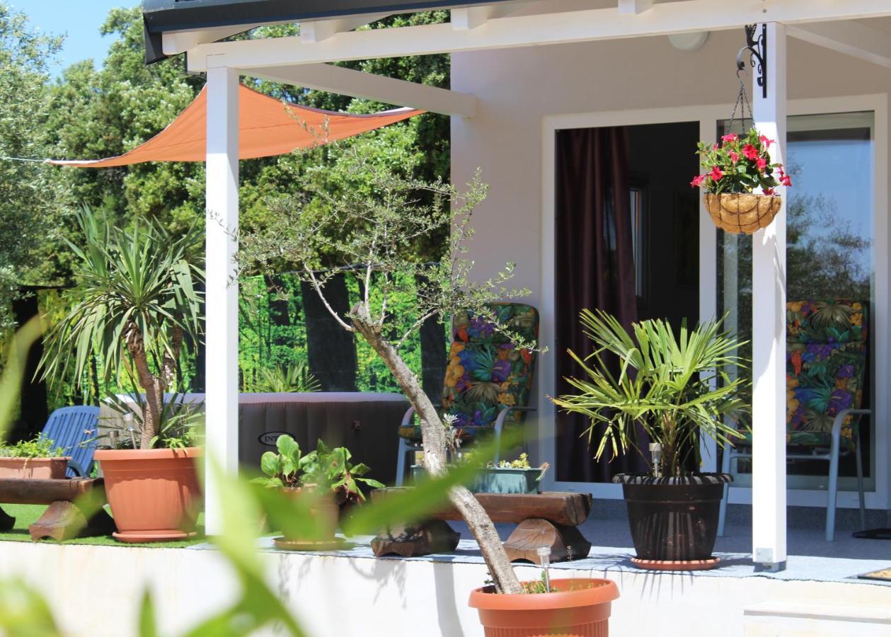Vila Oliven Garden Rovinj Exteriér fotografie