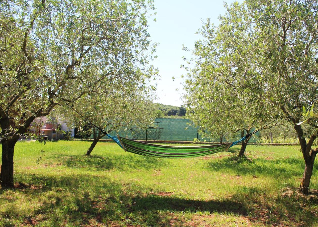 Vila Oliven Garden Rovinj Exteriér fotografie