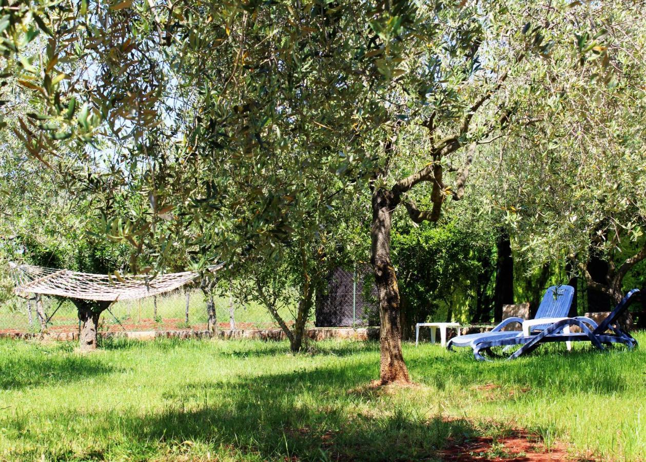 Vila Oliven Garden Rovinj Exteriér fotografie