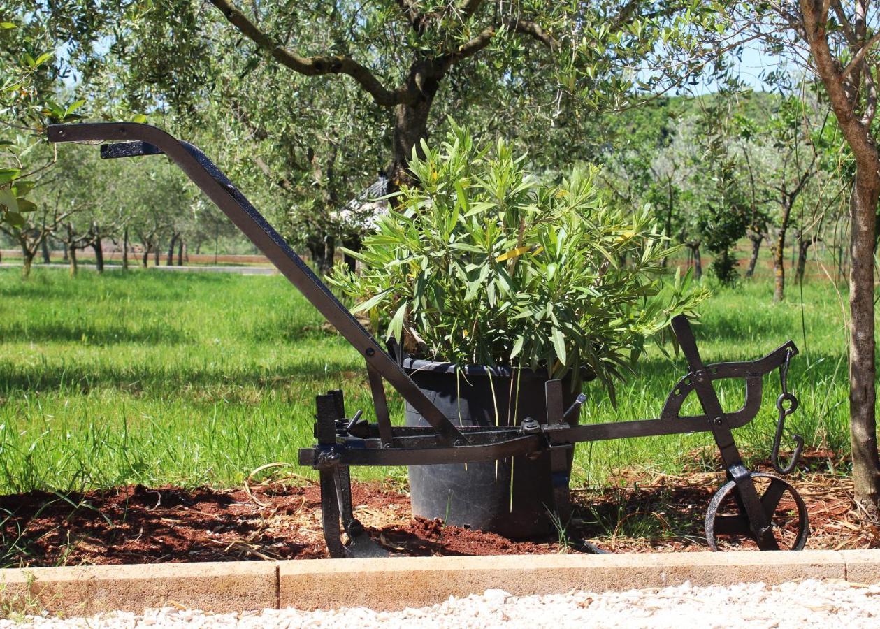 Vila Oliven Garden Rovinj Exteriér fotografie